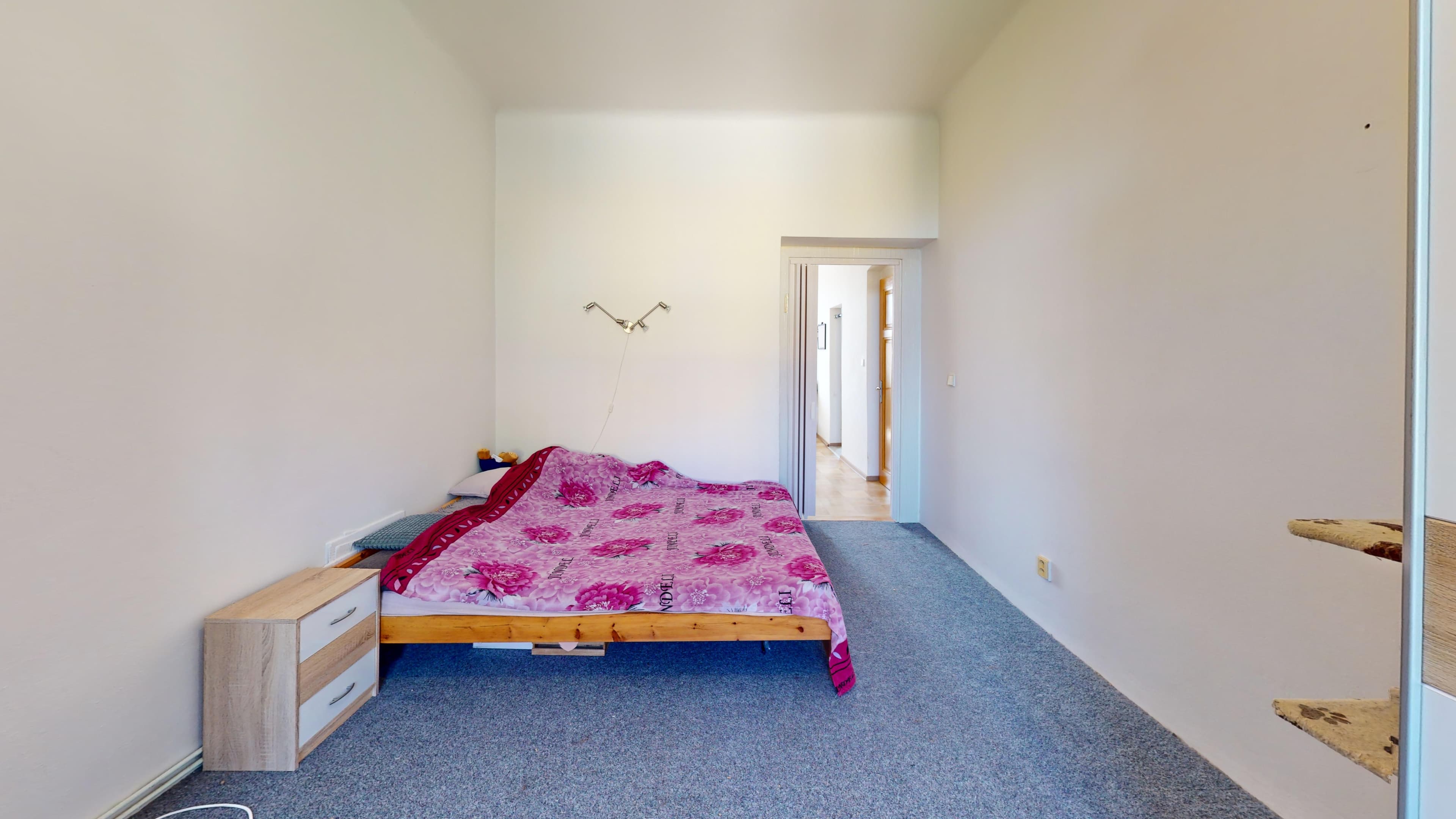 testy (fotografie 14)
